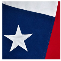 BANDERA CHILENA 35x55