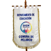 ESTANDARTE CREPSATIN - 120x0.75 cm.